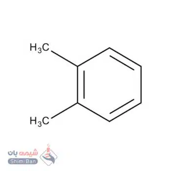 اورتو زایلین