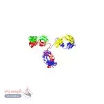 آنتی‌بادی ضد IgG گوسفندی (Anti-Sheep IgG)