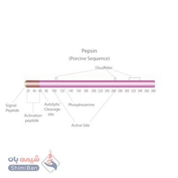 پپسین(Pepsin) کد 107185 اصلی مرک