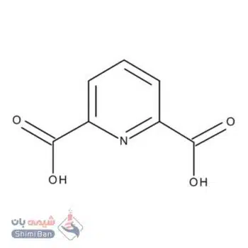 پیریدین-2و6-دی کربوکسیلیک اسید