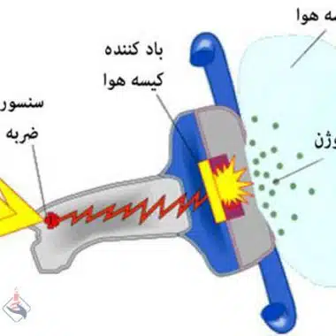 محیط کشت چیست؟