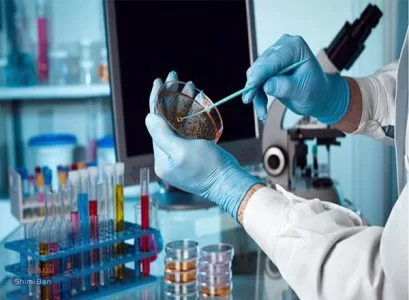 محیط کشت تریپل شوگر آیرون