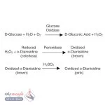 گلوکزاکسیداز