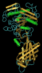 Lipase1