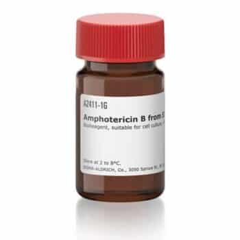 آمفوتریسین بی (Amphotericin B) کد A2411 اصلی سیگما