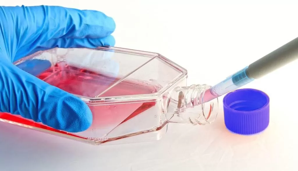 محیط کشت سلولی