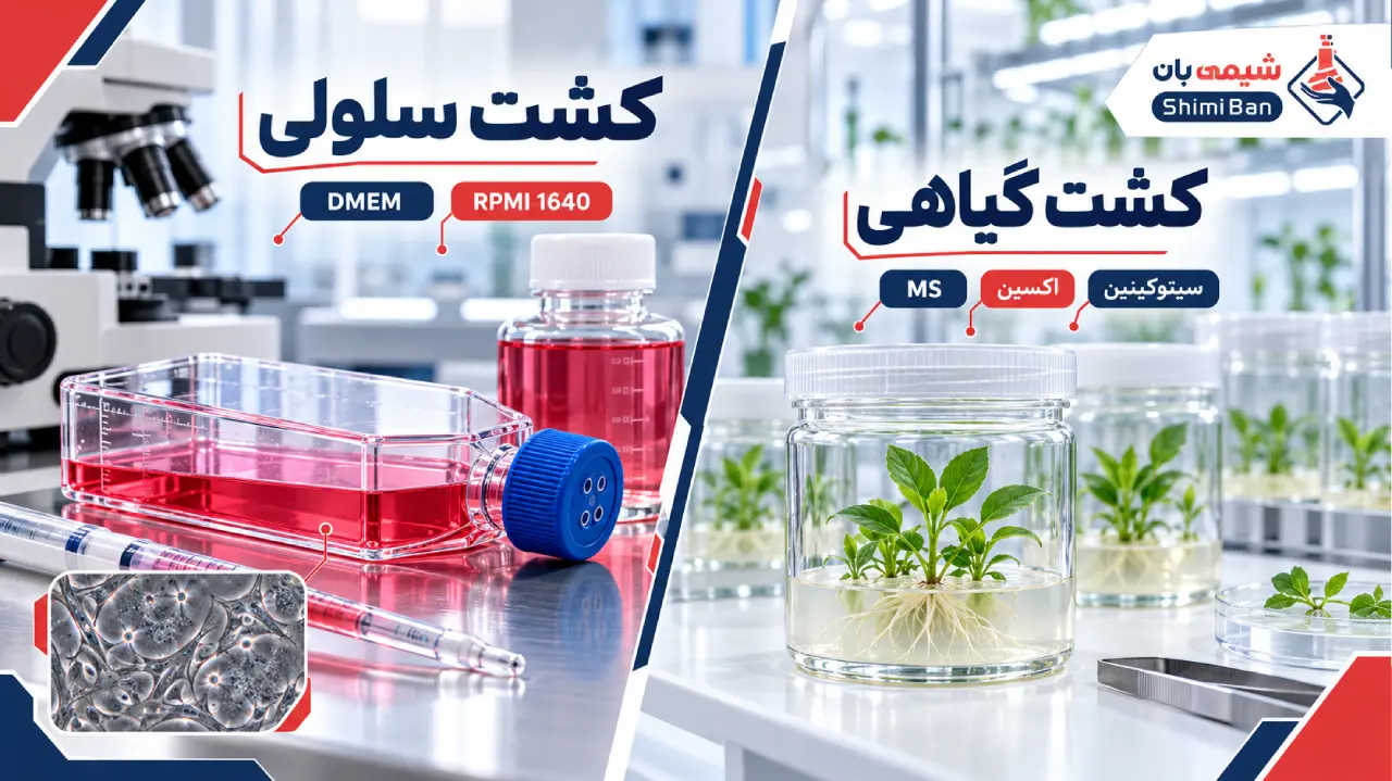 محیط کشت سلولی و گیاهی