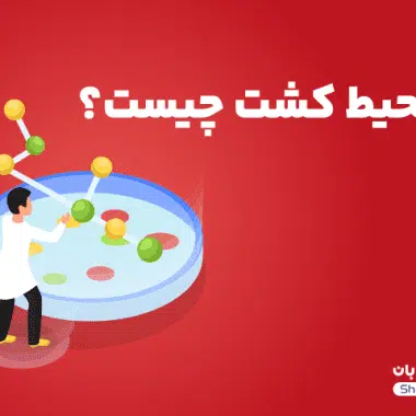 درباره کاربردهای شیمیایی و صنعتی آهن (III) اکساید چه می دانید؟