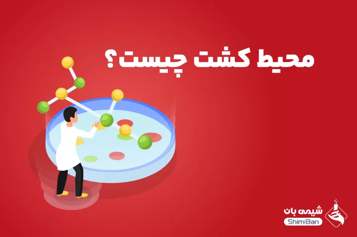 محیط کشت چیست