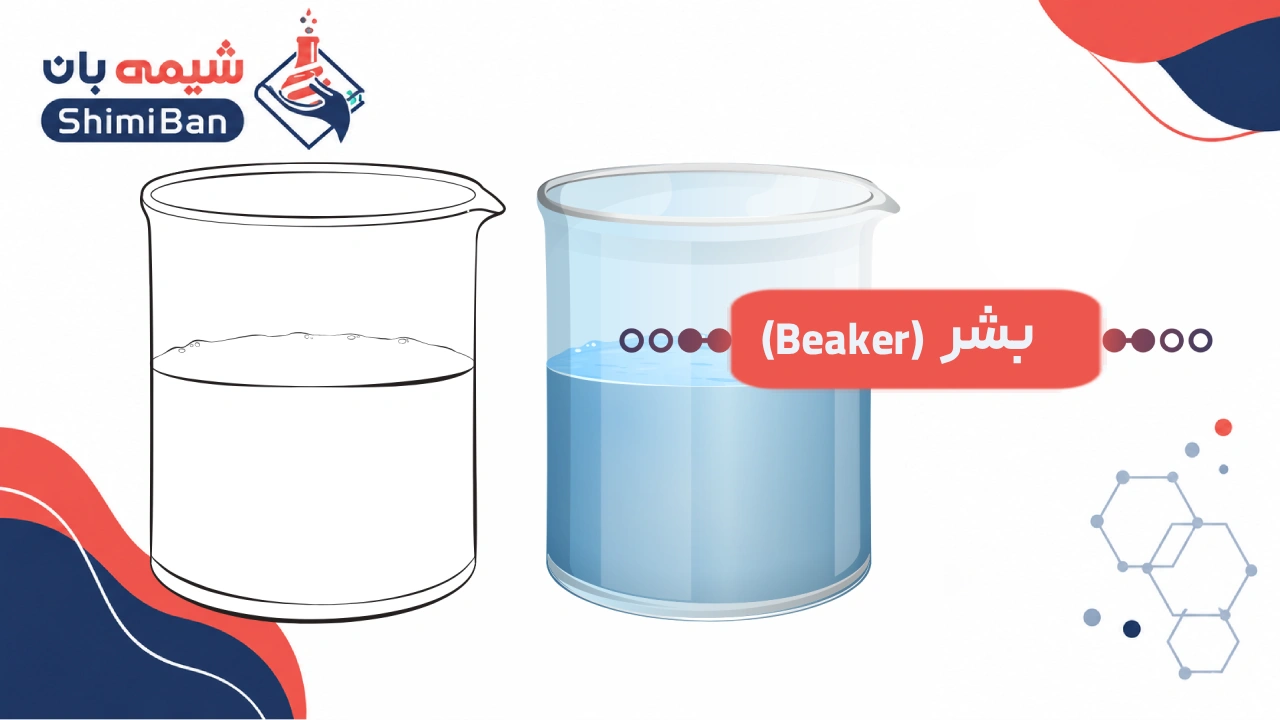 بشر (beaker)